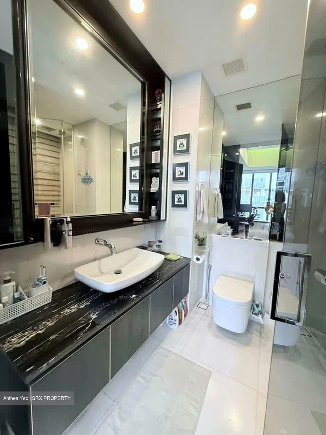 Amber Park (D15), Condominium #567736821